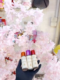 عطور اصلية • عطر شنتاية • مسك رمان