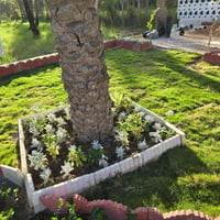 دونم • سند باسمي • قرب جسر الابراهيمية