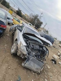 مكزيما • رقم اربيل • غرامة