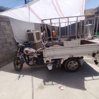 ستوته • بدون محجل • بستن مكسور