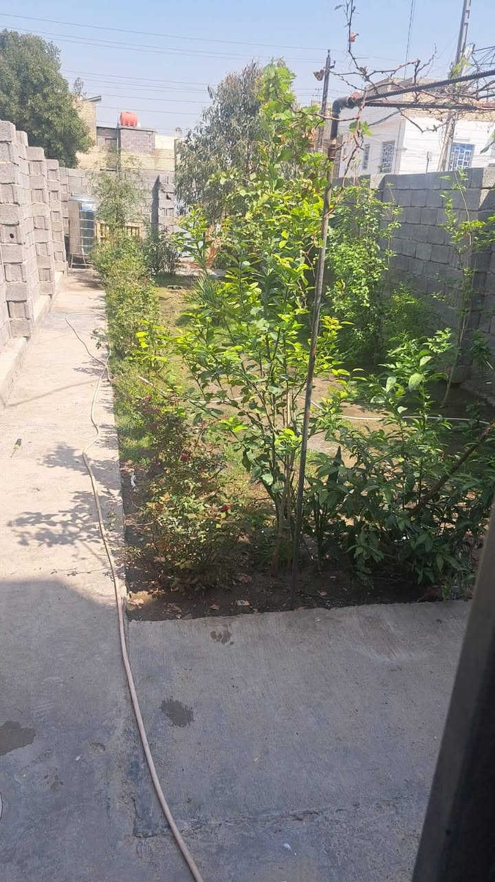 اللهم صل على محمد وآل محمد
🌹🌹🌹
شركة التاج للعقار
رمضان كريم وكل عام وانتم بخير
🌹🌹🌹
شركة التاج للعقار
مشتمل زراعي ركن سند 25  مساحه 100 متر في منطقه البياع طابقين درجة اولى يحتوي على مدخلين وصالتين وغرفتين نوم وصحيات داخلي وخارجي واستقبال ومطبخ وخدمات
جاهز للسكن من صاحب الدار مباشرتا سعره مناسب للشراي
🌹🌹🌹🌹
مشتمل مساحة  100 متر تشجير زنجيل شارع 20 طابقين خدمات كامله طابو ملك صرف على طابو البياع مواصفات ممتازه
٤ غرف نوم
🌹🌹🌹
نتعامل بمقاطعه ( 2/10)(3/10) بيع وشراء و تعقيب
اذا عندك قطعه للبيع عدنه شراي جاهز ثاني يوم فتح بيان وتستلم فلوسك جاهزة فقط راسل الصفحه او اتصل الارقام التالية
***********☎️
***********☎️
***********☎️
