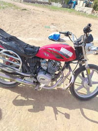 شغال • اوراق منافيس • بي مجال