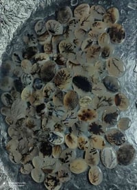 عقيق مشجر • يماني • ١٠٠ قطعة