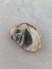 حجر • ماعرف نوعه • دوانيه