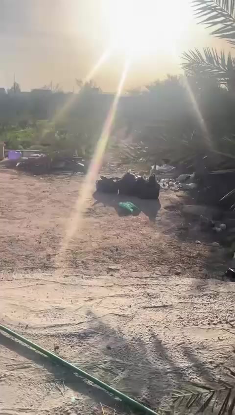 طابو 25حق تصرف على شارع زوار زرگه 1000متر نص دونم كهرباء ماء ابي *********** قرب فرقه الامام علي
