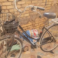 باسكلات • جبلي • بناتي ٢٧