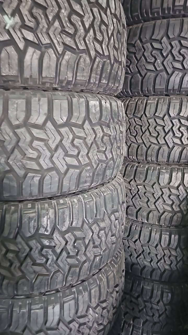 السلام عليكم
وصول اطارات جبلي و ويل كب دودج رام جمسي سيره سلفرادو  فورد f150 
للاسفسار الاتصال و المراسلة على الصفحه 
***********
***********
العنوان بغداد حي العامل شارع ٧ نيسان
