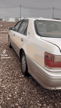 مه ليكه مه كينه ڤيڤيتي
مواسه فات 2دووگمه ي په رده
ده شبول نه جف ره قه م يه ك
تايه ي تازه 
روني گير مه كينه گؤردراوه
كامل مه سروف ته قه وره قه ي نيه
بوياخ دووپارجه په له يك
به شه رتي كه ڤه ر گوراو 
ده عم ليدارو سه ياره كه پاكه
چالوشوختي نيه هه ي بو پاره ت بوده برم
جوان بي خوينه وه انجاكومينت بكه ونامه بنيره
معمله يش له چات و موبايل ناكري كرياري وه ره سه يريكه له سه روه سف اوه نه بو دووگلاكه متر اتده مي به س معمله ي به تال مه كه

سعري 50معمله
ناونيشان هه لبجه ي تازه
ژماره *********** ڤايبه رووه تس ئاپي له سه ره
