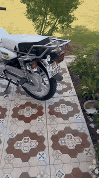 يالله سلام عليكم سيفان موديل 2023 مرقم دياله مشروع وطني كفاله عامه مال جناي وخير من الله شرط تحويل سعر تصال ودلل ***********
