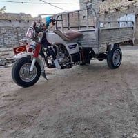 ستوته • موديل 12 • اوراق كامل