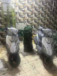 رمبه • بصره • للبيع