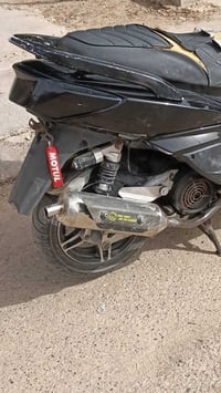 عارض دراجه سكنس فحل للبيع بوشه 63 دراجه ملغومه تزويد صدر رياضي دبلات خ...