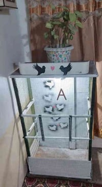 #للبيع بسعر مناسب قفص طيور كامل مرتب مع محتويات   4بيوت طيور حب 1 بيت ...