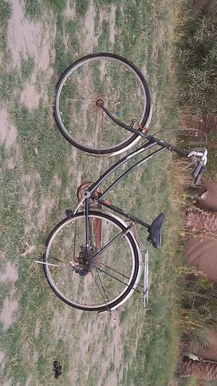 بــايـسـكـل تـبديـلات الـحجـم 28 لـلبــيع المـكان بـابـل الاسـكـنـدريـه  السـعـر 50  تـريـد البــايـسـكـل تـابـعني و تـعـال خـــاص


**إذا كنت صاحب هذا الإعلان وتريد حذفه لأي سبب، رجاءا أرسل رسالة إلى الدعم الفني**