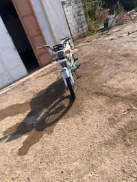 دراجة • موديل ٢٤