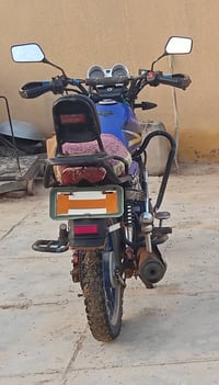 تايهه بروو • موديل ٢٠١٩ • أوراق أصلية