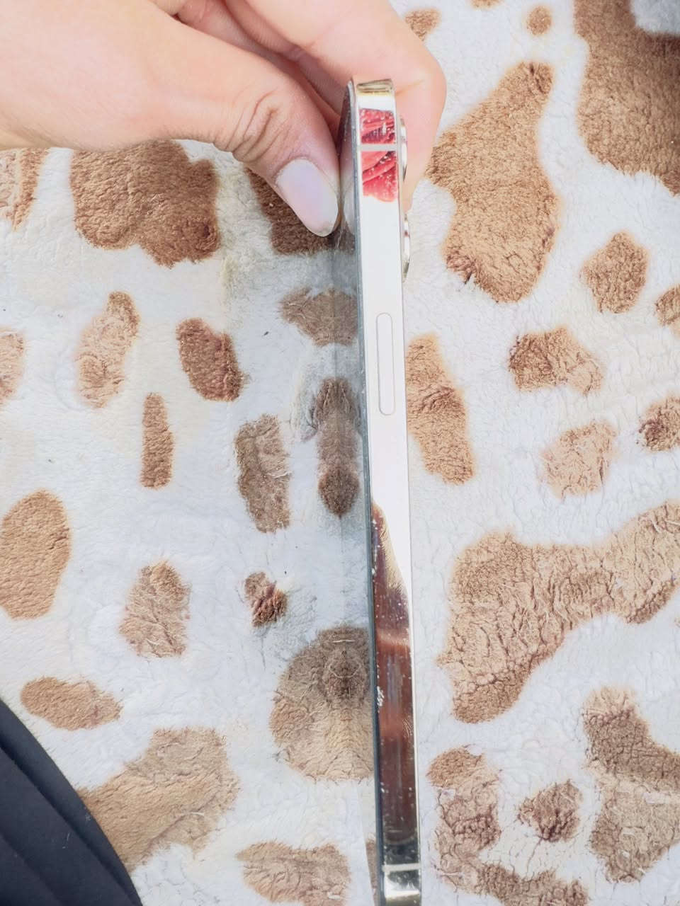 ايفون 12 برو ماكس للبيع
فقط الضهر مكسور

بطارية 76

ذاكرة 256 

السعر 400 بي مجال بسيط 

مكانيّ الديوانية الدغارة ***********
