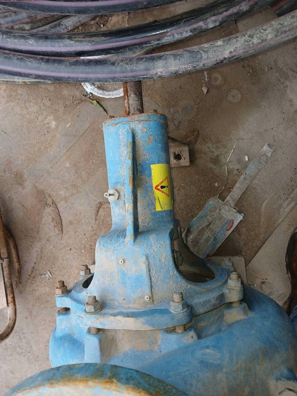 خنزيرة عين السحرية الهيد ٤٠ والكيو ١٨٠ جديد مامشتغل ***********سيدرحيم السعر ٤٥٠الف
