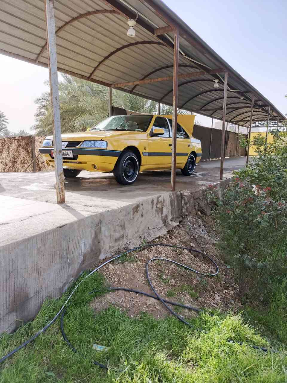 السلام عليكم
بيجو اكد للبيع مكان بابل سعر 47بيها مجال ***********
