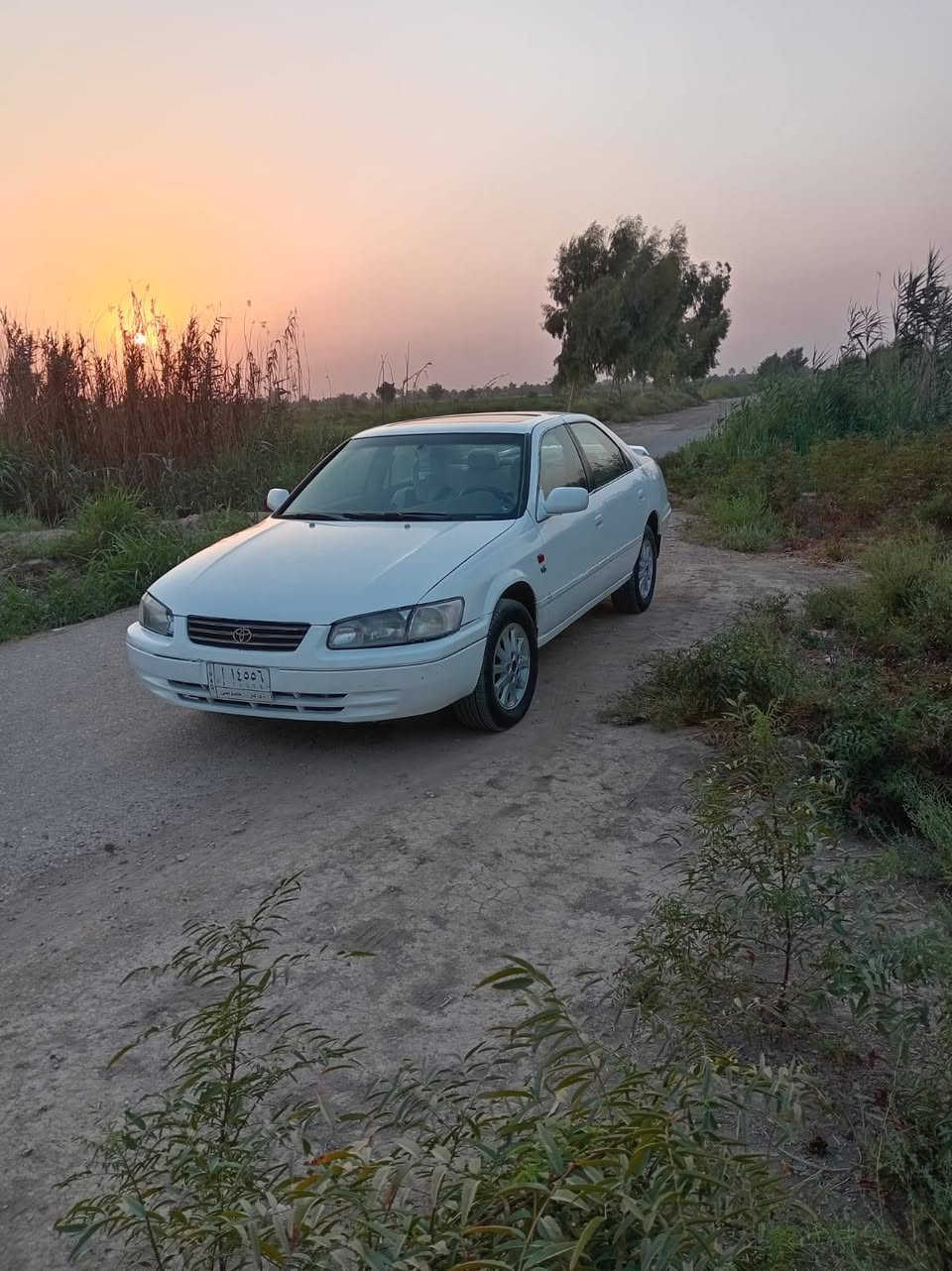 السلام عليكم كامري للبيع موديل 2004.محرك v6  السياره 
بيهه جامرلغ تعديل و مصبوغه عام للجماليه فقط  خير من الله محرك كير كهربائيات كله شغال بس صدر تعبان يعني نص عمر مكان السياره ديالئ
السعر (75)وبيهه مجال
للاستفسار اتصل ***********
