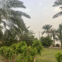 أرض زراعية • ٤٠ دونم • واسط بنعمانيه