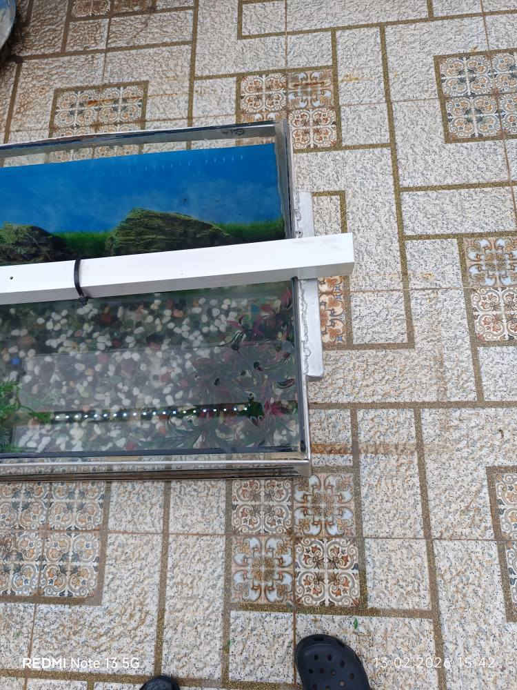 حوض سمك كبير 80 سنتيمتر و ارتفاع 60 سنتيمتر مع اطار حديد مع ملحقاتها كامل بدون سمك سعر 50 الف كركوك, العراق


**إذا كنت صاحب هذا الإعلان وتريد حذفه لأي سبب، رجاءا أرسل رسالة إلى الدعم الفني**