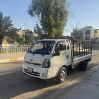 كيه فحل للبيع 07739685988