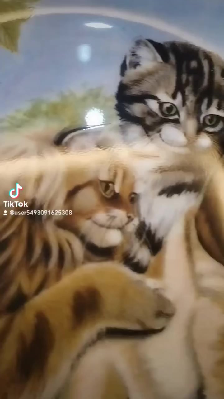 ياألله يالله سلام عليكم تحف وانتيكات واجهزه منزليه للبيع اي استفسار الاتصال على هذا الرقم *********** او ع الخاص
