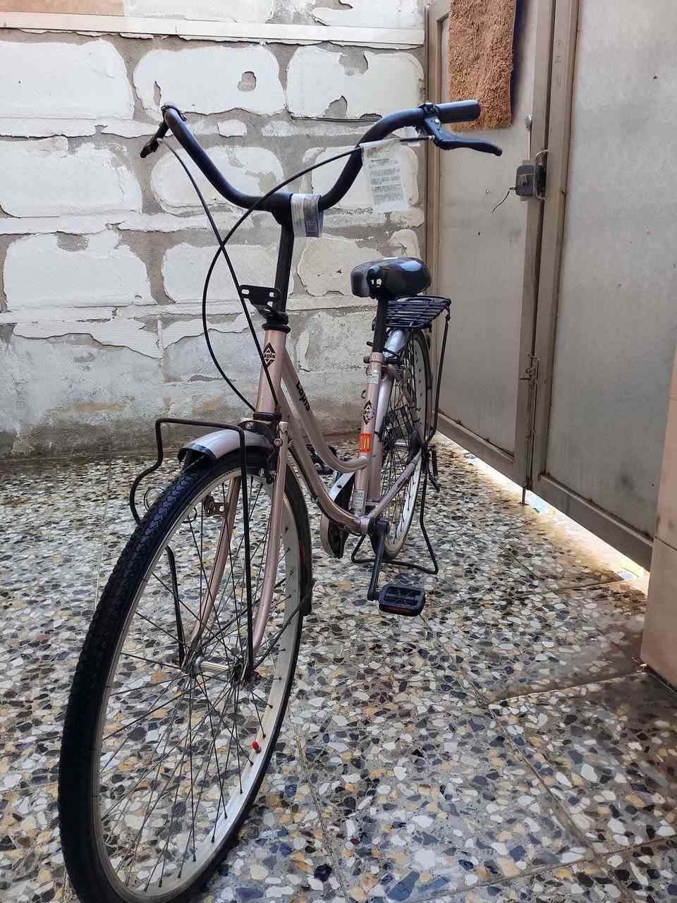 سلام عليكم البيع أو مراوس باسكل بناتي حجم 26 باسكل نضيف مكاني الشعب المواصله على الارقم ***********
