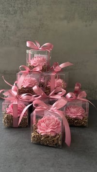 عروض العيد • توزيعات • حجز قبل أسبوعين