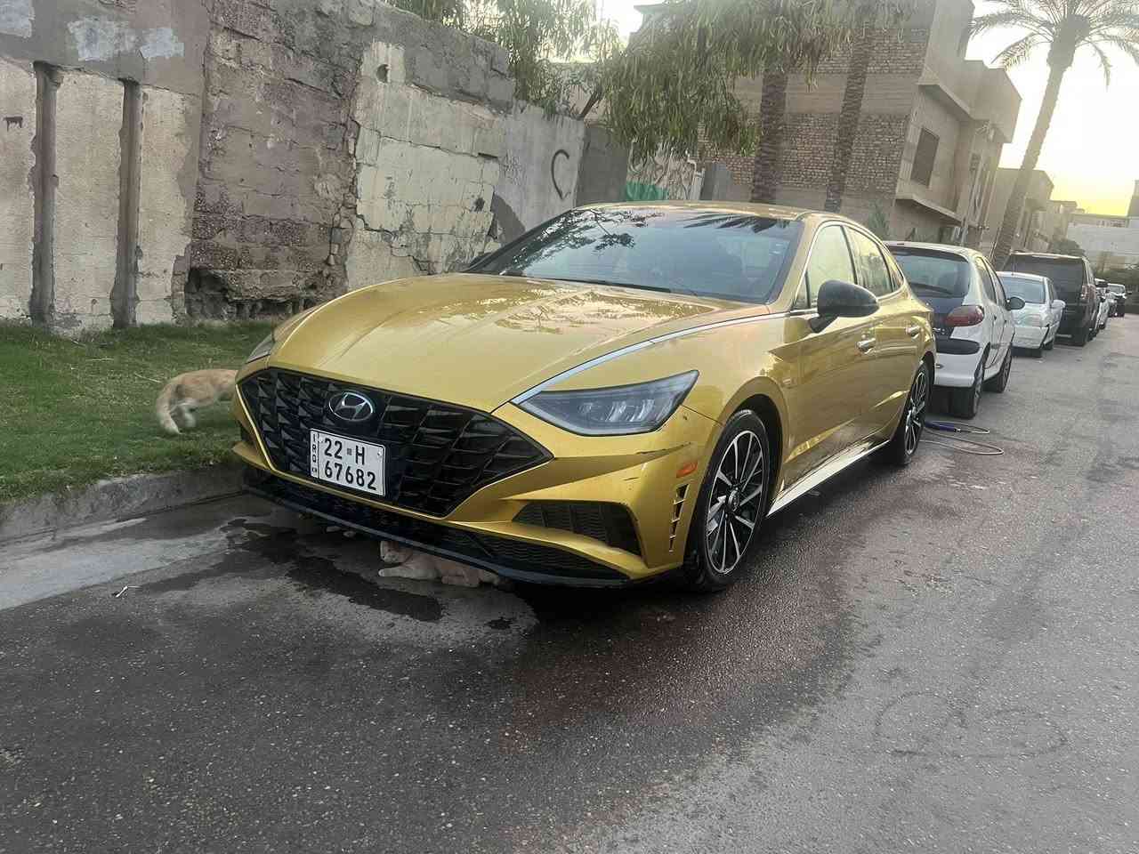 سوناتا 2020وارد امريكي
ضرره قبق الجنطة سرقه 
محرك 1600تيربو  فول مواصفات عدة الفتحة رقم اربيل لون مميز ذهبي ماشية 100
مكاني بغداد شارع فلسطين ***********/////////***********

السعر 165
