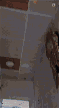 دراجة شحن X900 • ملف عاطل • كربلاء الحي العسكري