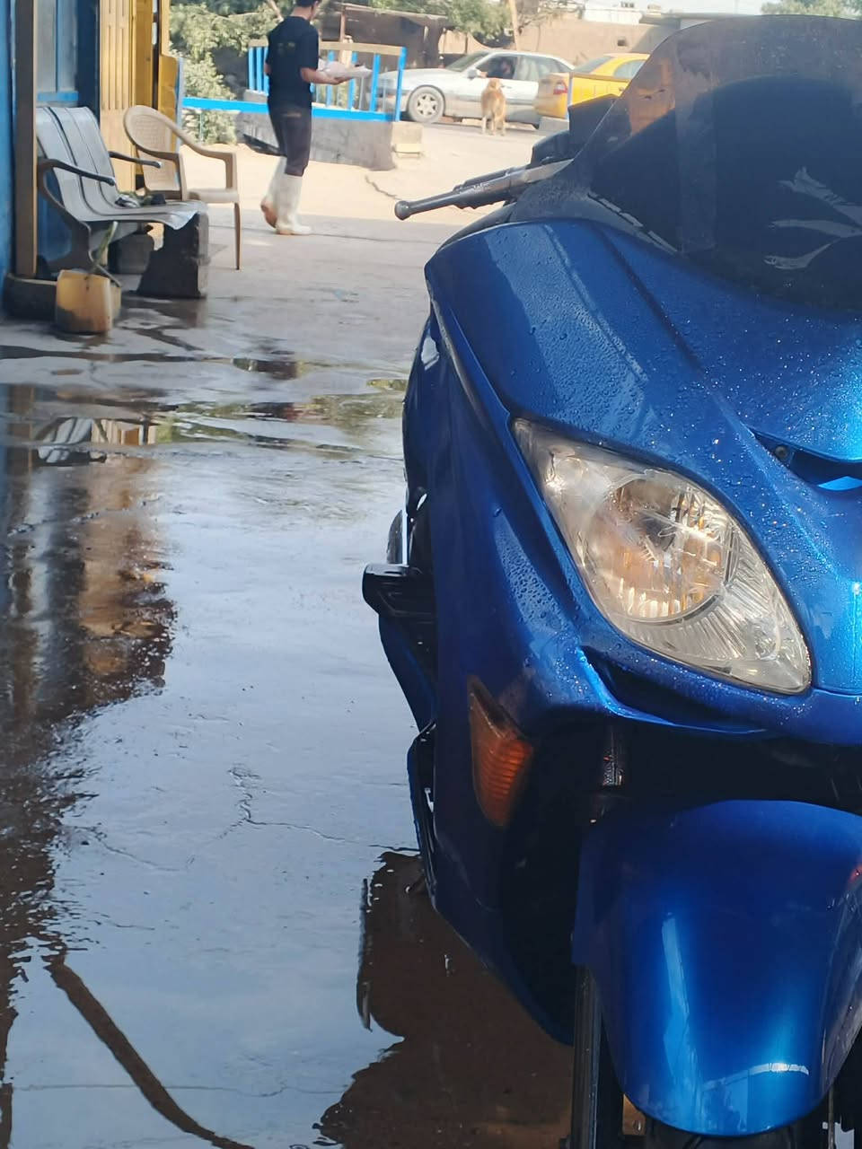 فورزة صفر8 دراجة نضيفة وكلهه شغالة وحلوة كير ملغي ومكينه مفتوحة مرة وحدة يعني تجفيت كله جديد واصلي غراض 🫡متواجد خاص


**إذا كنت صاحب هذا الإعلان وتريد حذفه لأي سبب، رجاءا أرسل رسالة إلى الدعم الفني**