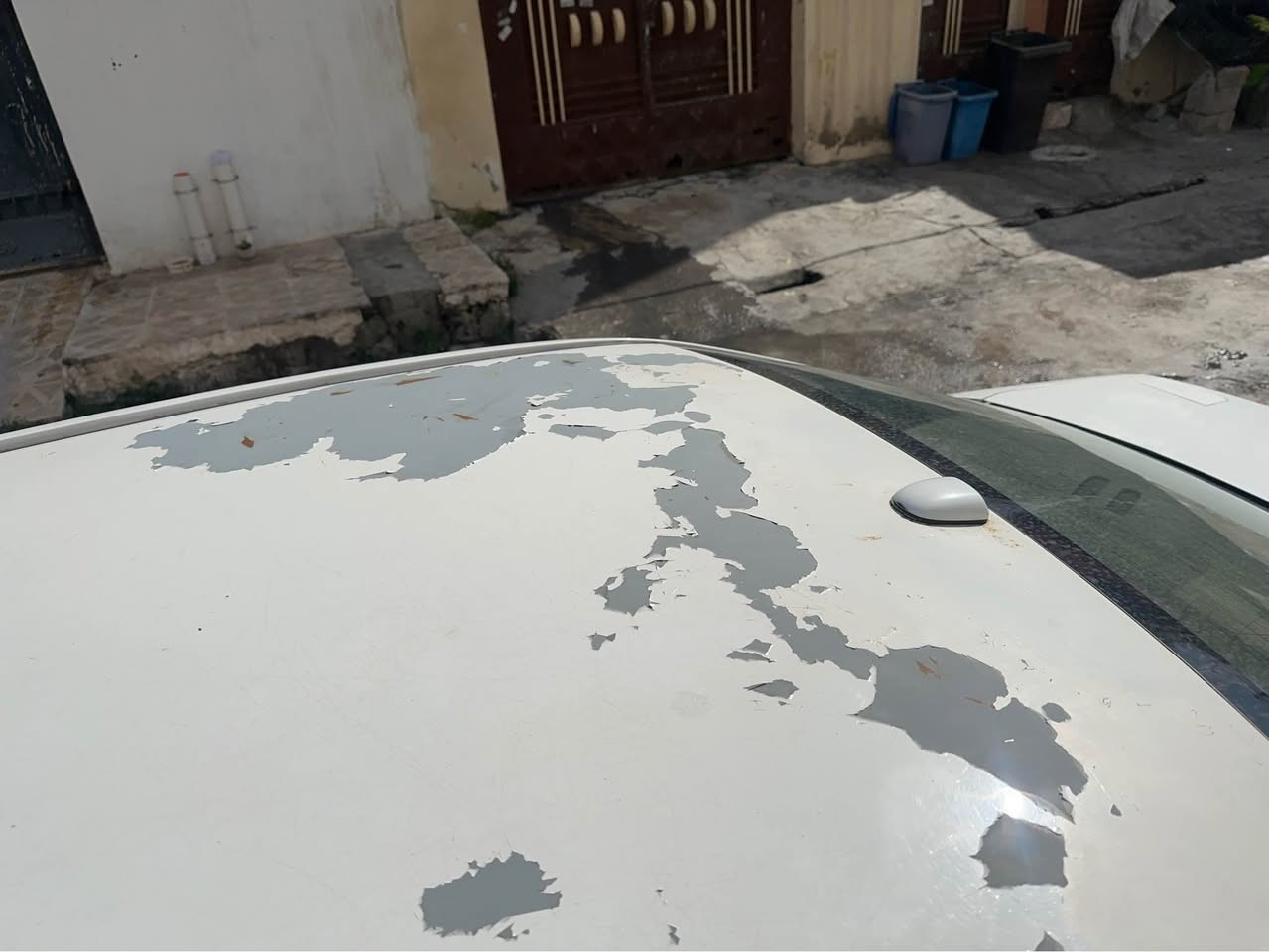 2009 bstak boyax 
Makina gawra  
Sanawe nwe hata 2032
Banawe xomana 
Saqfe sbuxe har daya 
105 waraqaw m7amala 
*********** أربيل, العراق
