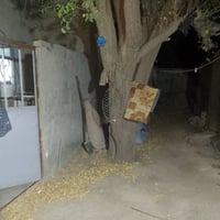 بيت للبيع • مساحة ١٠٠م • شارع كربلاء