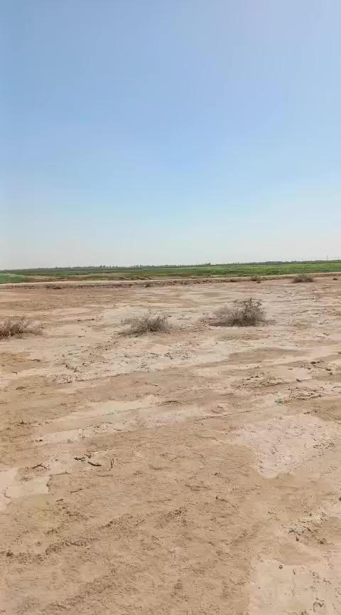 م عليكم  ارض زراعيه للبيع المساحه 500دونم  العقد مجدد لل28 أو لمحوله بصدر الكاع الكهرباء اصوليه ميه بل ميه من قبل الدولة الأرض تنباع من مساحه حسب  بكيفك شكد تريد من ميه دونم  للخمسميه دونم العنوان النجف العزيه شارع البحيرات
مكلف بلنشر رقم صاحب الأرض ***********
غير متواجد على فيس
