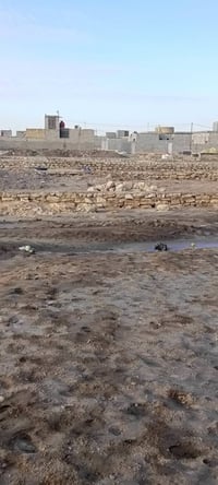 ال بو حجر • ٢٠٠م • تابو زراعي