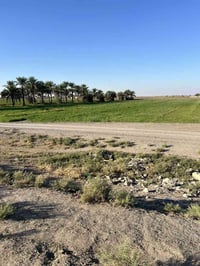 الشيخ عامر • سند ٢٥ • مداخل متعددة