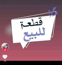 أبو شطيب الشراي • ٢٥٠م • سند ٢٥