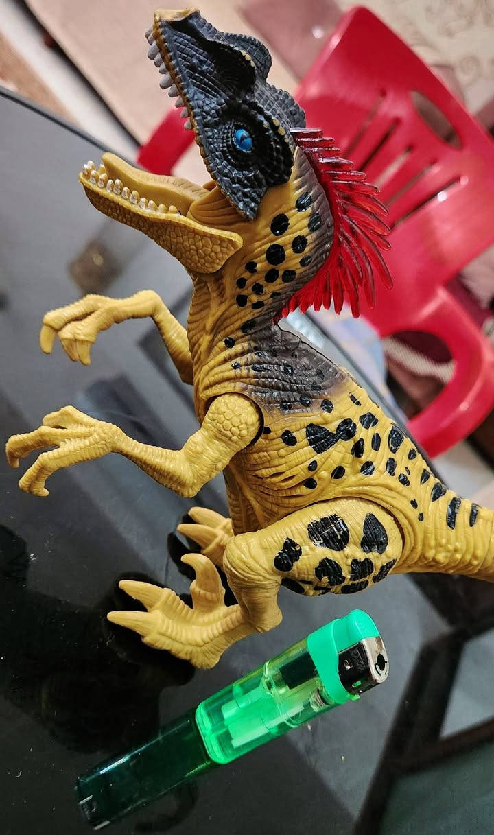 تيرانآصور من العصر الجورآسي 
دينآصور مفصلي بالكامل 
جودة عاليه / وزن ثقيل 
السعر 10 الالف فقط


**إذا كنت صاحب هذا الإعلان وتريد حذفه لأي سبب، رجاءا أرسل رسالة إلى الدعم الفني**