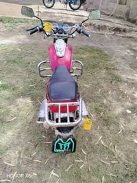 جونده • شغاله • موديل ١٧