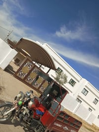 اسطه صبغ • سقف مغربي • داخل اربيل