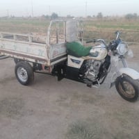 ستوته • موديل ١٢ • قضاء النصر