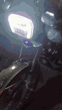 سونك • موديل ٢٠٢٥ • الصويرة