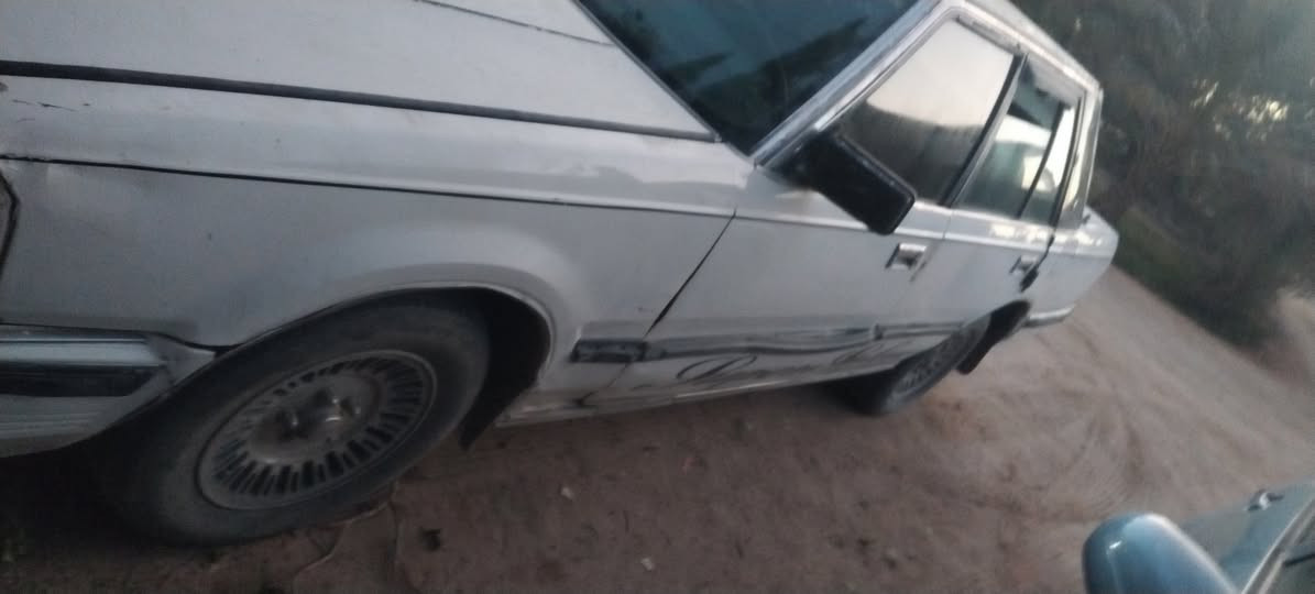 تفصيخ شتريد موجود السماوة الرميثة رقم الهاتف ***********تف
