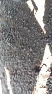 تانكي • دناكير 14 • بويلر جاهز