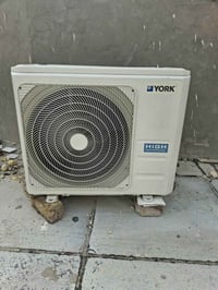 سبلت • يورك • جديد