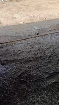 جملون • سندويج بنل • ٢٤٠م