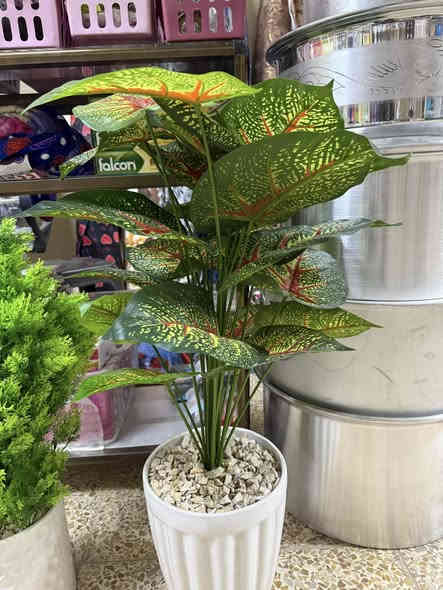 اللهم صلي وسلم وبارك على سيدنا محمد
السلام عليكم ورحمة الله وبركاته 
،  إلى زباءننا الكِرام، كل مايحتاجو المنزل متوفر 
*مكان المحل ناحيت الشوره بظهر انفوس  قرب صيدلية محمد الخلف🏥
📞***********
