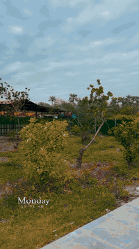 مزارع وشاليهات ضي القمر في بغــداد- الزعفرانية على ضفاف نهر دجله
مثبته بتطبيق #اجرلي
للأيجار اليومي للشبــاب و العوائــل 
أهلأ وسهلا بالضيوف الكرام

💥 غرفتين  نوم وصالة ومطبخ وصحيات 
💥 مسبح 
💥 حديقة
💥 كراج للسيارات
💥 كهرباء ع مدار 24 ساعة 

🔴يرجى الالتزام بالشروط :

غير مسؤولين عن اي حادث عرضي او غرق  
يرجى المحافظة على نظافة المكان والممتلكات
في حال عدم الالتزام بالشروط   وسيلغى الحجز ولا يسترجع المبلغ المدفوع

العنوان :- بغداد_الزعفرانية_
اللاستفسار او الاتصال على الرقم التالي..
هــاتف / ***********
متوفر حجوزات صباحي مسائي طول أيــام الاسبوع
